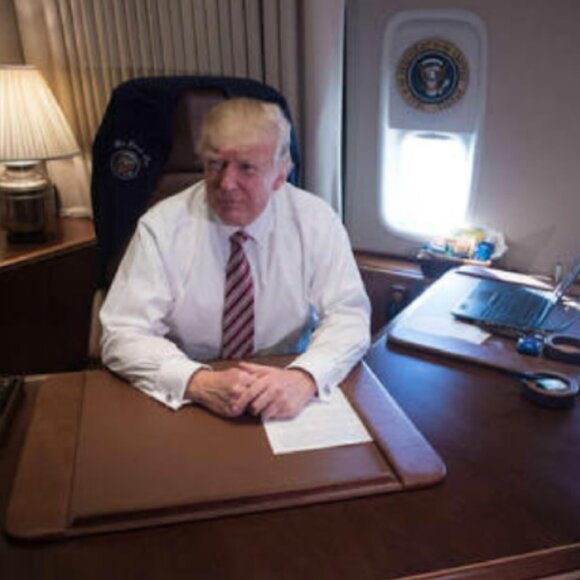 Meet your Posher, William - Picture 9 of 16